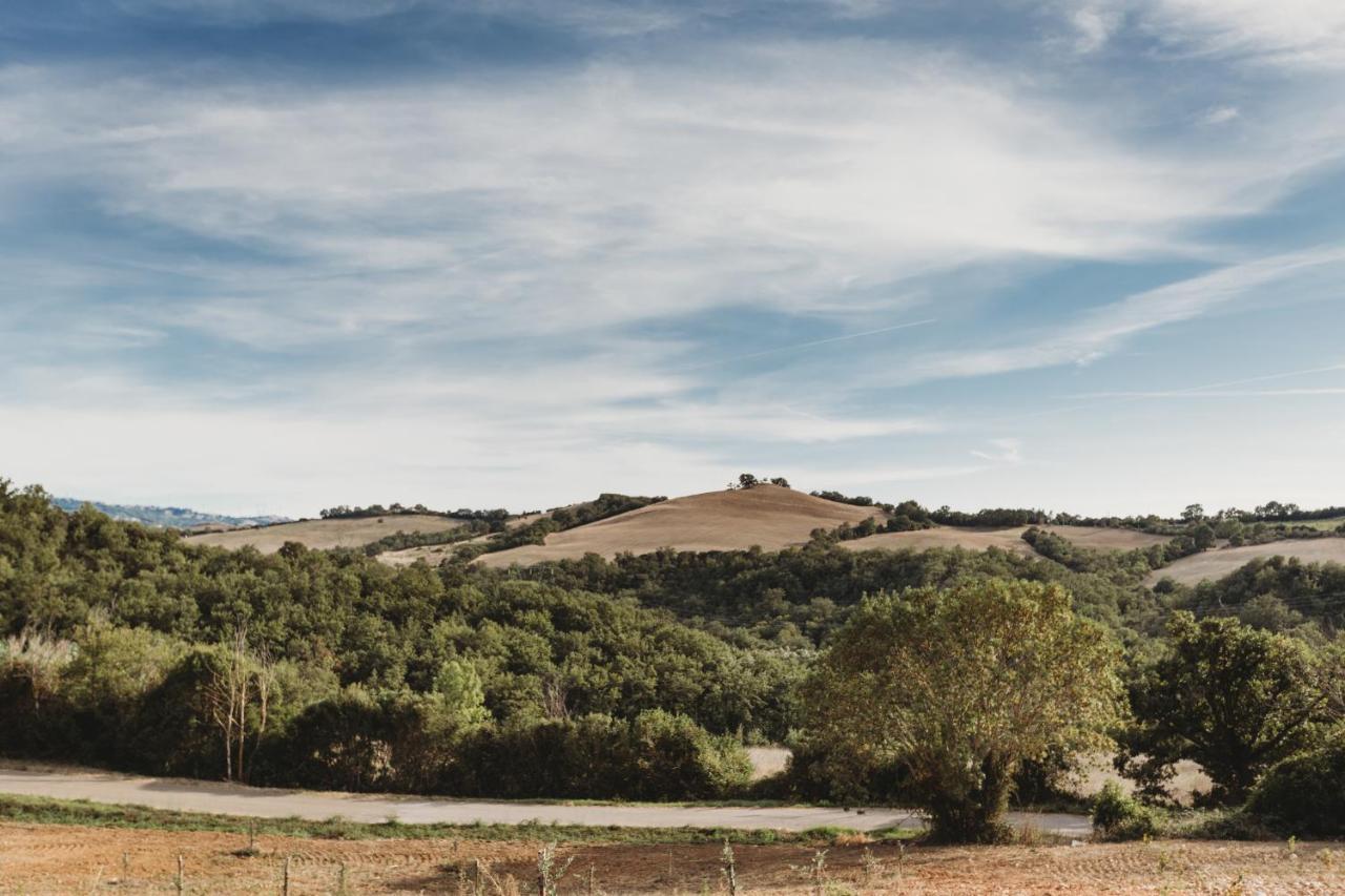 Agriturismo Podere Il Sorbo Campagnatico Kültér fotó